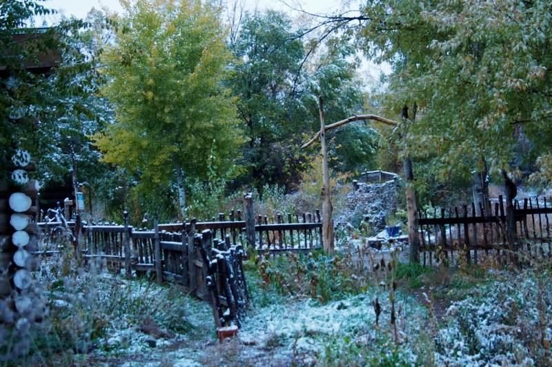 Taos Goji Farm&Eco-Lodge Retreat Arroyo Seco Exterior foto