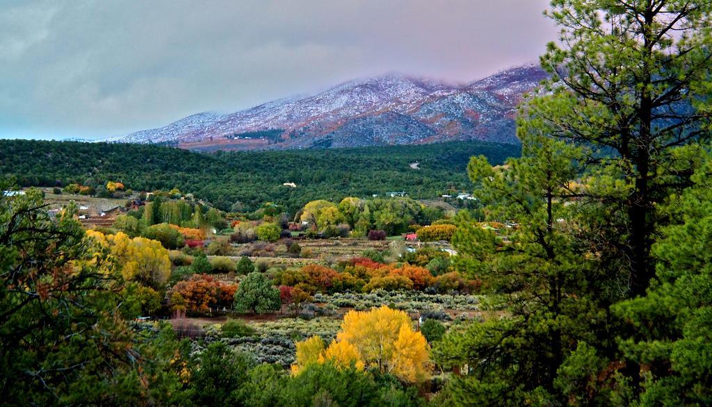 Taos Goji Farm&Eco-Lodge Retreat Arroyo Seco Exterior foto