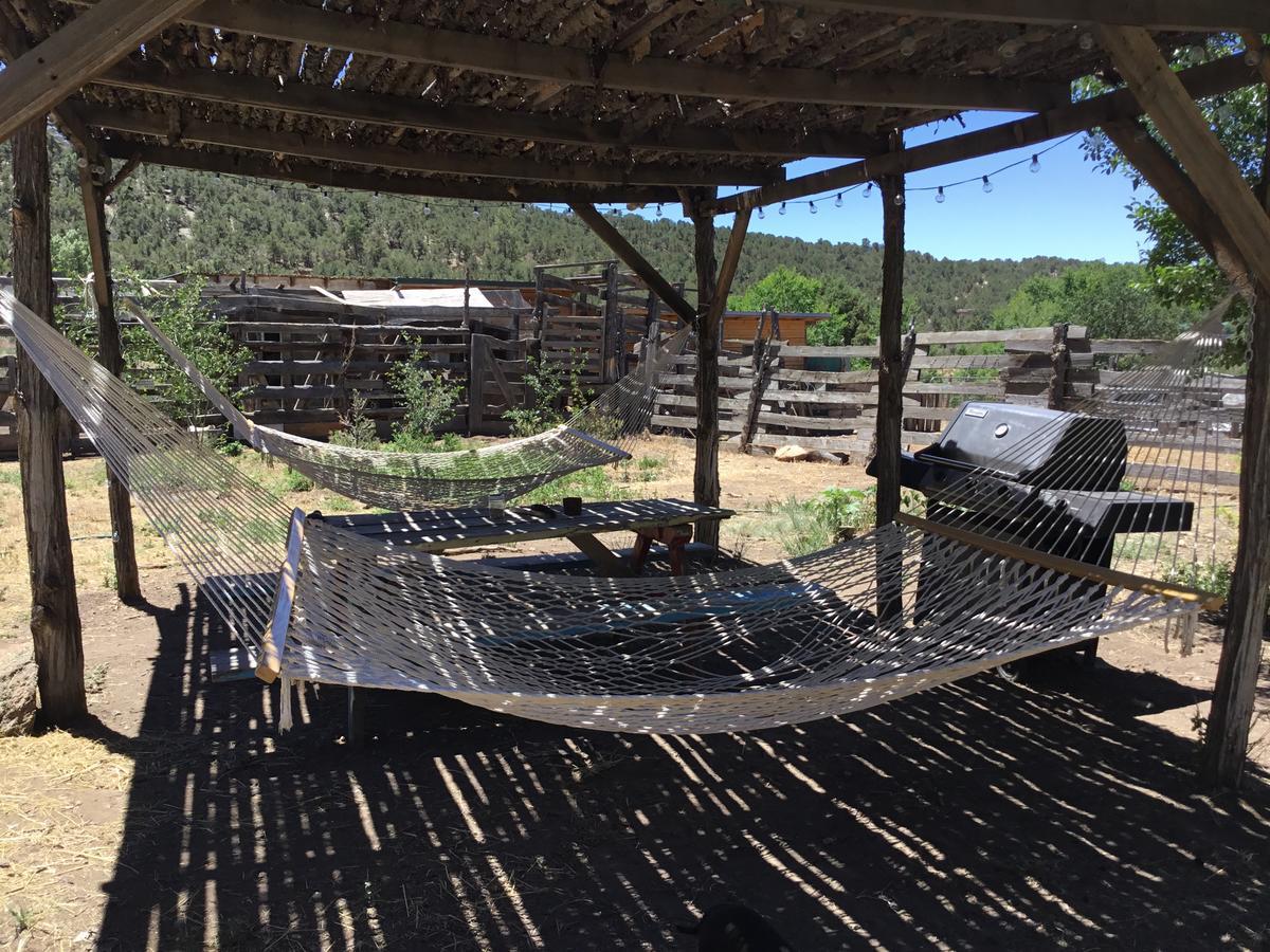 Taos Goji Farm&Eco-Lodge Retreat Arroyo Seco Exterior foto
